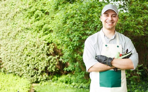 A young male gardener with a cheerful expression stands in a well-maintained garden in Pinner, surrounded by lush green hedges and trees. He wears a light grey cap, a white and grey striped shirt, and a green gardening apron. His arms are crossed, holding gardening tools, and he is dressed for outdoor maintenance work. The garden features a dense hedge line, a grassy lawn area with vibrant green grass, and a backdrop of flowering shrubs and trees under natural daylight, suggesting a mild, cloudy day. The environment appears tidy and cared for, indicative of professional gardening services. The scene subtly emphasizes lawn care, pruning, and garden maintenance relevant to local residents seeking quality outdoor gardening assistance in Pinner, within the HA5 postcode area. Lawn Mowing Pinner offers expert gardening services to maintain healthy, attractive outdoor spaces in this residential area within the London metropolitan region.