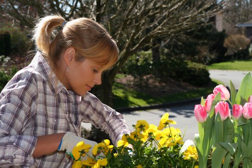 Tools used for garden clearance